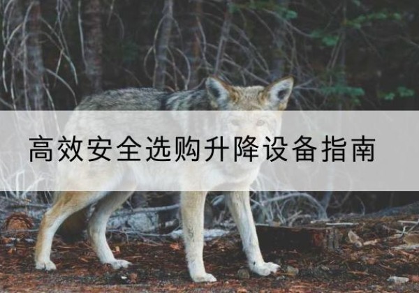 宁海升降货梯厂家推荐-*安全选购升降设备指南