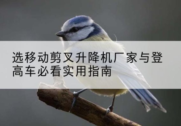 宁海电动升降机厂家-选移动剪叉升降机厂家与登高车必看实用指南