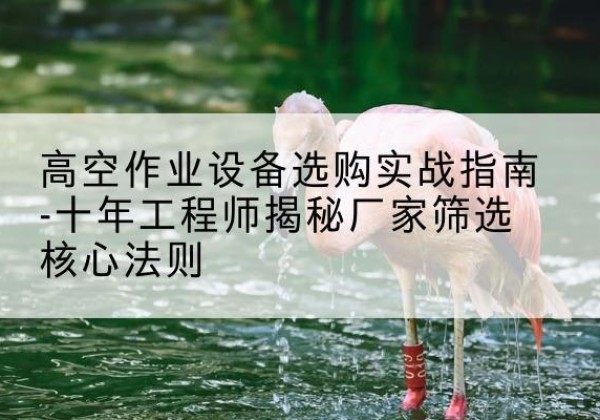 宁海剪叉式升降机厂家-高空作业设备选购实战指南-十年工程师揭秘厂家筛选核心法则