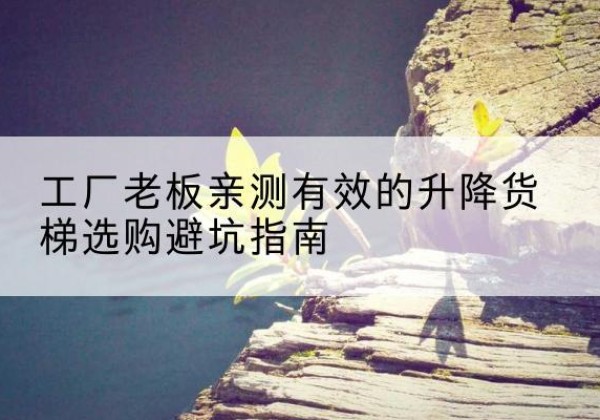 宁海升降货梯怎么选-工厂老板亲测有效的升降货梯选购避坑指南